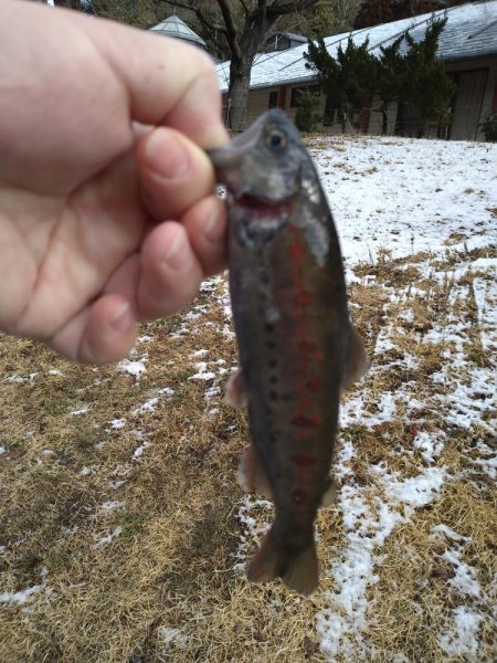 寒すぎて釣れない